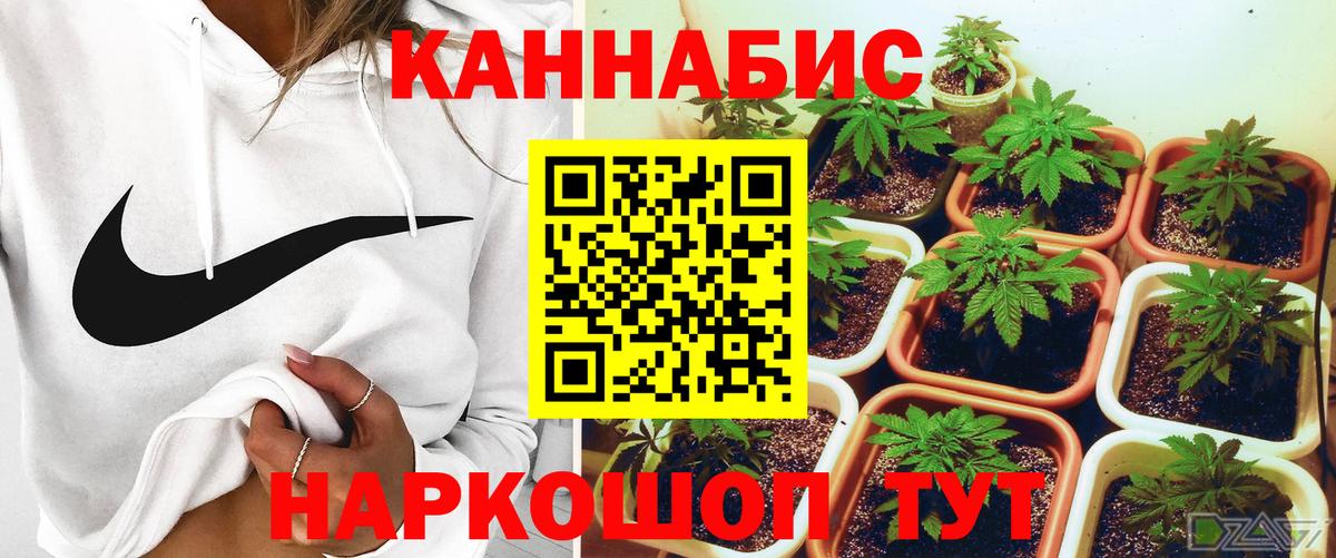 Шишки марихуана сатива Петропавловск-Камчатский